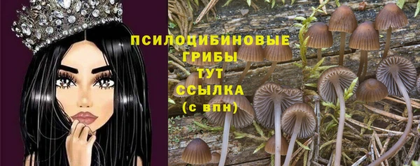 экстази Абаза