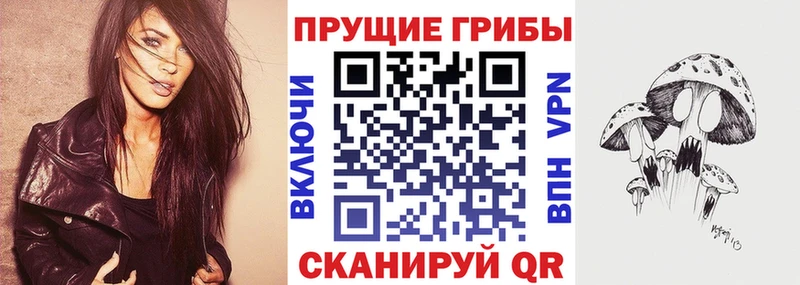 наркотики  Судогда  Псилоцибиновые грибы Psilocybe 
