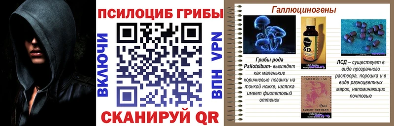 Галлюциногенные грибы Cubensis Судогда
