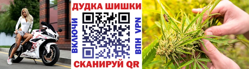 где продают   Судогда  Бошки Шишки семена 